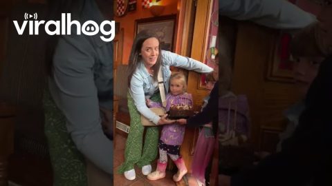 Flew 6,000 Miles to Surprise My Dad || ViralHog