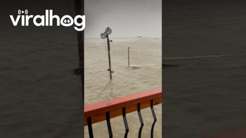 Optimism Working Overtime During Hurricane Beryl Flooding || ViralHog