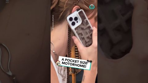 Ant Farm Phone Case || ViralHog