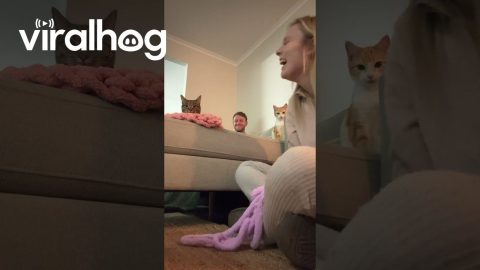 Woman Unknowingly Has an Audience || ViralHog