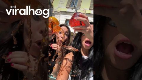 Drink Glass Breaks During Cheers || ViralHog