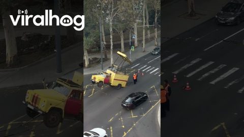 Driver Helped Out Of Rearing Truck || ViralHog