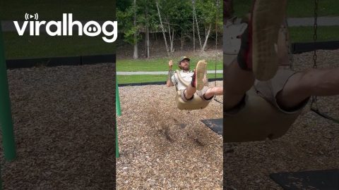 Man Falls Out of Swing || ViralHog