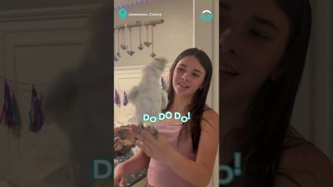 Cockatoo Loves to Dance || ViralHog