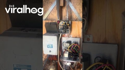 Water Leaks Into Electrical Box || ViralHog