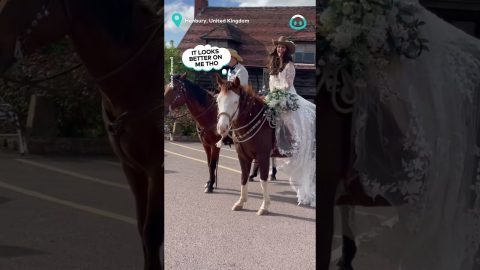Horse Chomps Veil || ViralHog