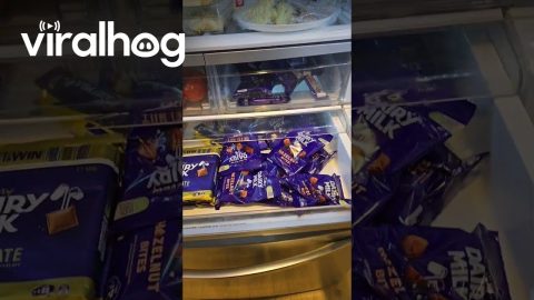 Grandma's Fridge Filled With Chocolate || ViralHog