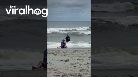 Woman Needs Help Up After Falling at the Beach || ViralHog