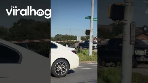 Malfunctioning Railroad Crossing Gates Cause Chaos For Drivers || ViralHog