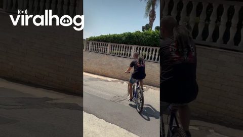 Man Takes Cat On Bicycle Rides || ViralHog