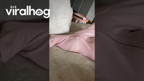 Girl Falls Asleep in Unusual Position || ViralHog