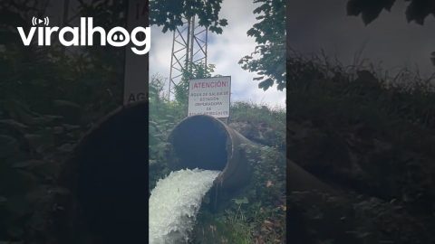 Waterfall Is Actually Wastewater Pipe || ViralHog