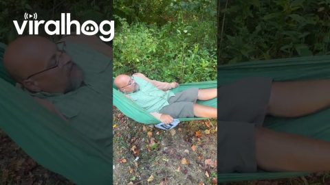 How Not to Hammock || ViralHog