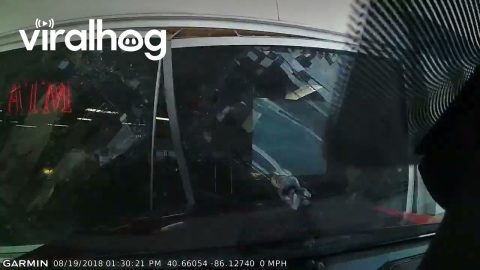Gas Station Stop Goes Wrong || ViralHog