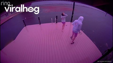 Big Fish Steals Fishing Pole || ViralHog