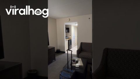 Hotel Lamp Plugged Into Neighboring Room || ViralHog