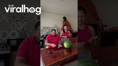 Woman Impatiently Breaks Open Watermelon || ViralHog