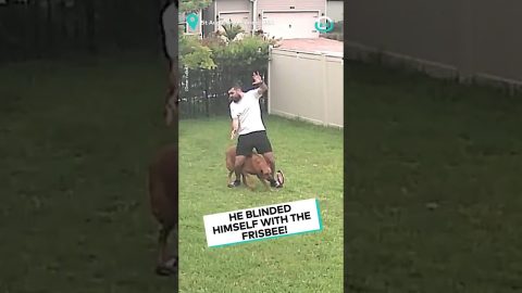 Blindfolded Dog Goes Wrong || ViralHog