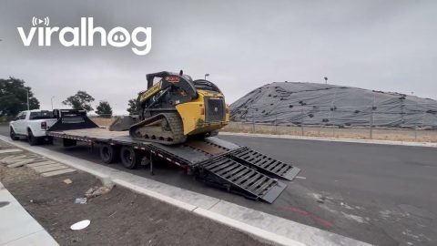 When You Lie on Your Resume and Still Get the Job || ViralHog