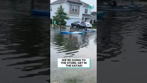 Making The Most Of A Flood || ViralHog