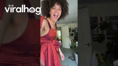 Fart And Dart Away From Dressmaker || ViralHog