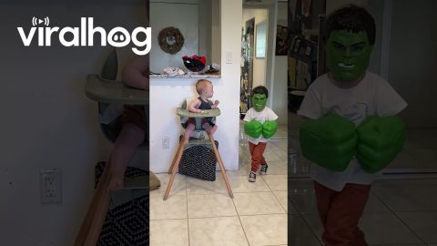 Hulk Interrupts Breakfast || ViralHog