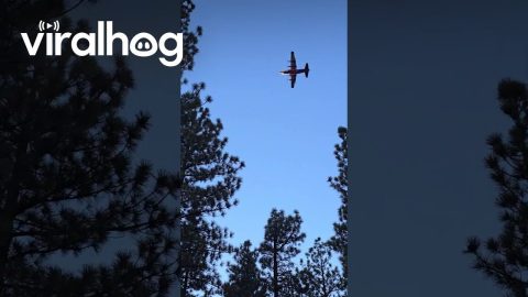 Plane Drops Fire Retardant On Davis Creek Fire || ViralHog