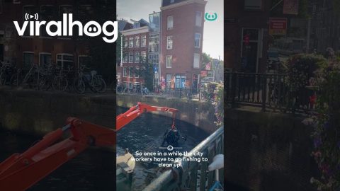 Cleaning The Canals Of Amsterdam || ViralHog