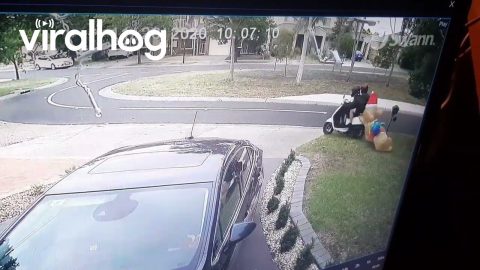Moped Riders Steal Christmas Decorations || ViralHog