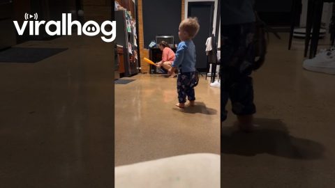 Toddler Cuts Mom From Baseball Team || ViralHog