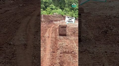 Runaway Excavator || ViralHog