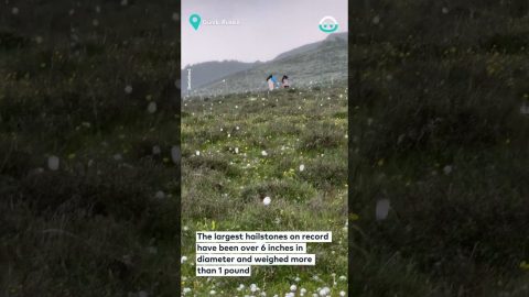 Massive Hail Storm || ViralHog