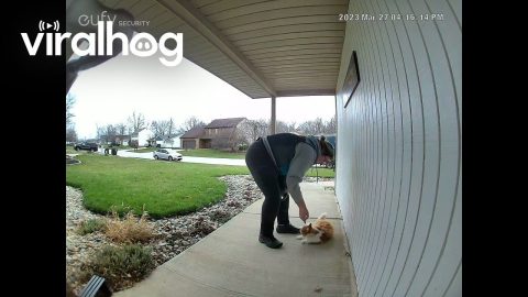 Delivery Driver Knows Cat by Name || ViralHog