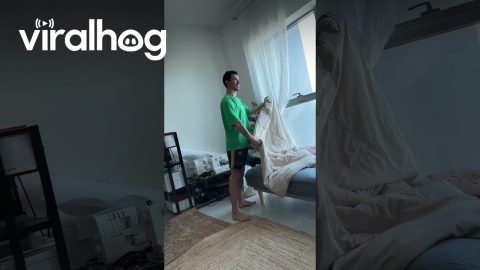 Chores Aren't Easy When You're a Mannequin || ViralHog
