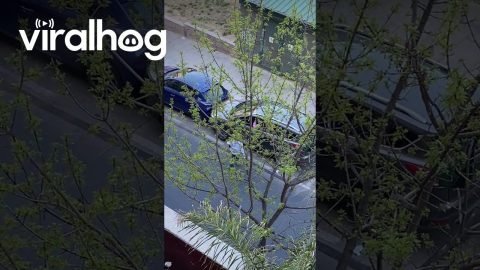 Parallel Parking Goes Terribly Wrong || ViralHog