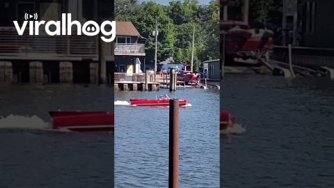 Cruising in a Car Boat || ViralHog