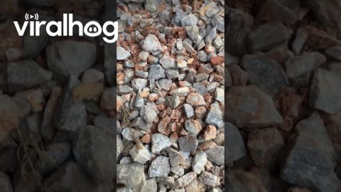 Rock Spinning || ViralHog