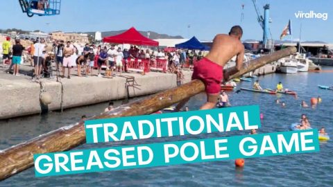 Traditional Greased Pole Game || ViralHog