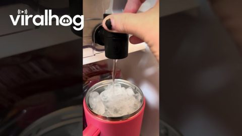Instant Slushie || ViralHog