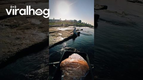 Drone Delivers Surprise Snack to a Woman by the Sea || ViralHog