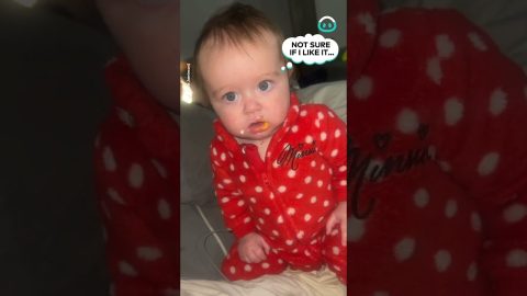 Baby Trying Bell Pepper || ViralHog