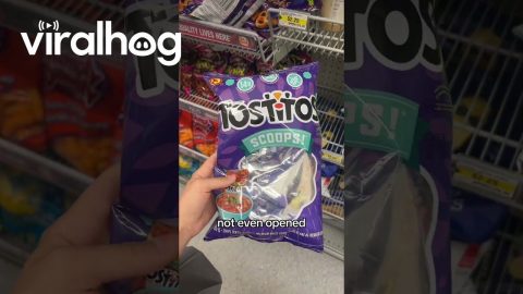 Chip Bag Is Full Of Air || ViralHog