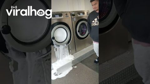 My Brother Accidently Flooded The Laundromat || ViralHog