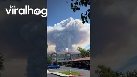 Huge Plume of Smoke From California Wildfire || ViralHog