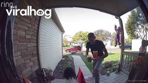 Startled Delivery Driver Saves The Drinks || ViralHog