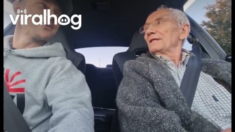 Took My Neighbor Out For a Drive || ViralHog