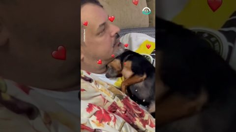 Classic Dad Didn't Want A Dog Story || ViralHog