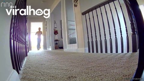 Earthquake In Southern California Rattles Home || ViralHog