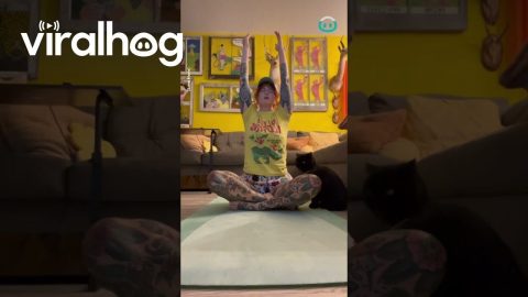 Cat Does Yoga || ViralHog