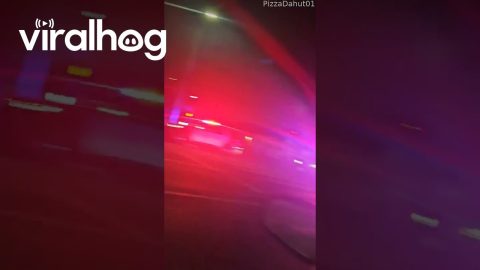 Police Pursue Hijacked Los Angeles Metro Bus || ViralHog